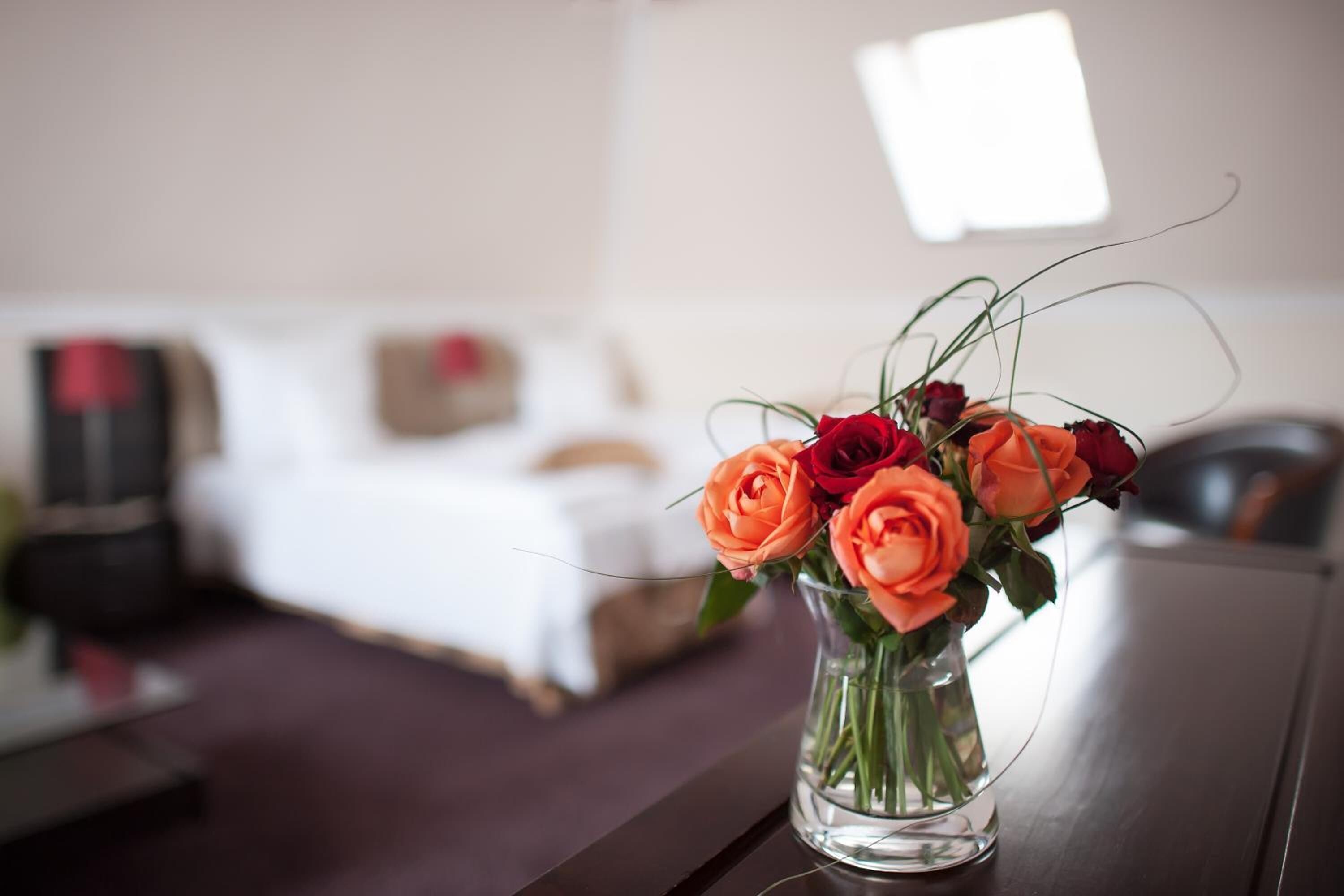 premium bedding, select comfort beds, in-room safe