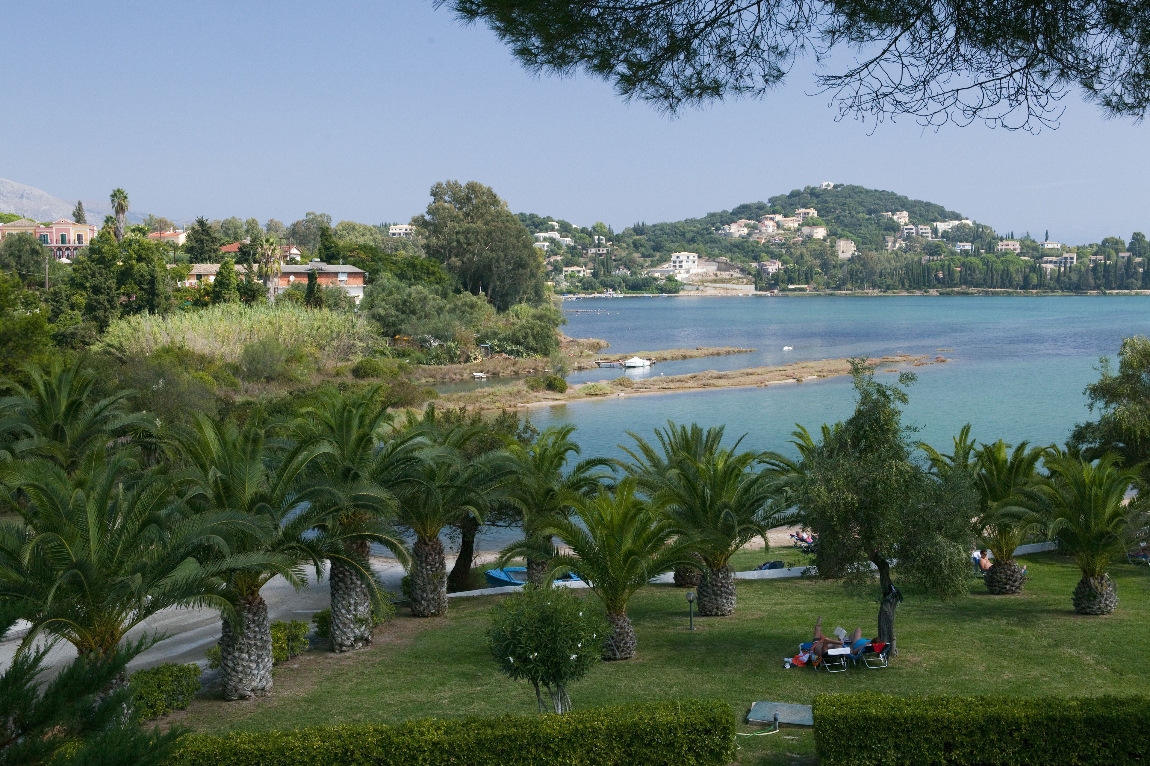 Un paysage côtier avec des palmiers, une plage et des bâtiments en arrière-plan.