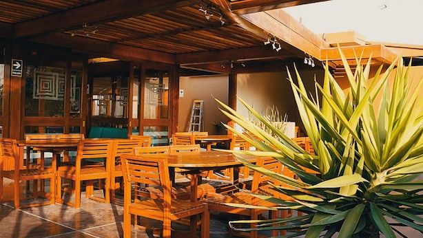 Un patio exterior de madera con varias mesas y sillas, una planta grande en primer plano y un edificio con fachada de madera al fondo.