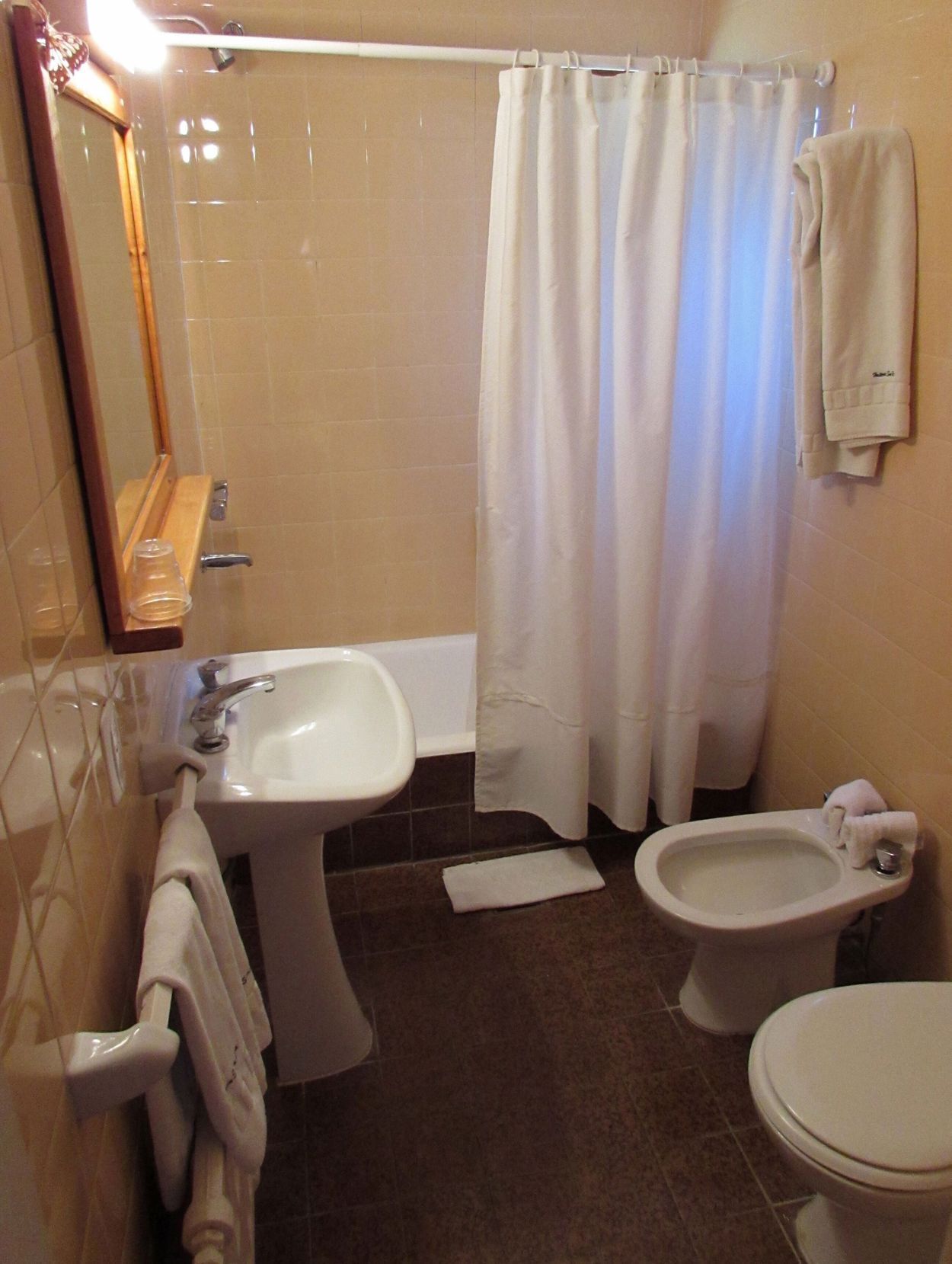 Bathroom | Combined shower/bathtub, free toiletries, hair dryer, bidet