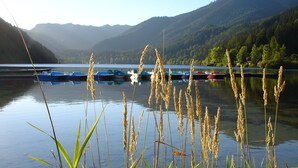 A calm lake with boats docked, surrounded by forested hills. - JUFA Hotel Erlaufsee (Mariazell)