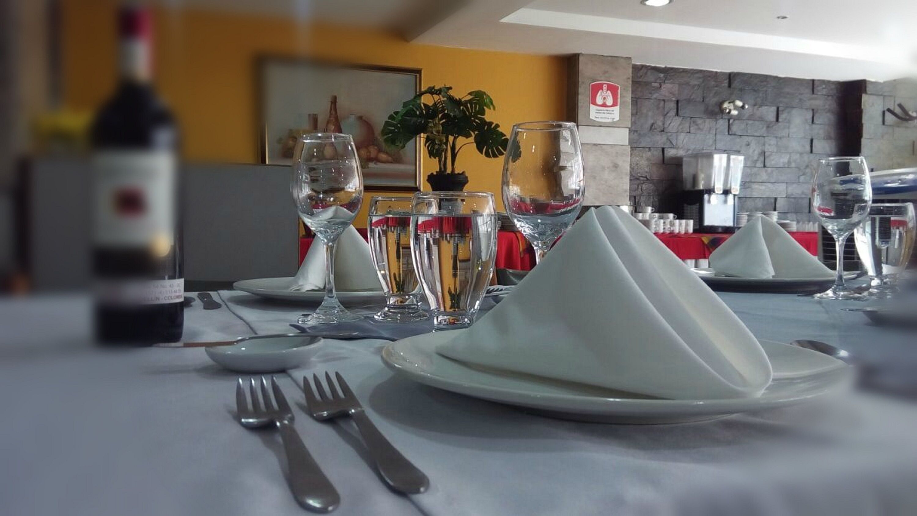 Une table à manger dressée avec des assiettes, des couverts et des verres, une bouteille de vin et une plante en pot en arrière-plan.
