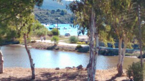 Vista de un lago con árboles, un muelle y un bote.