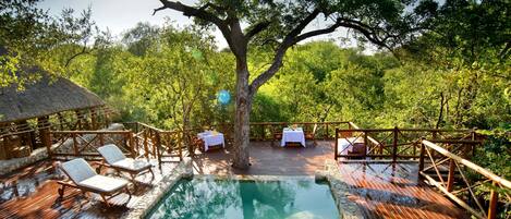 2 outdoor pools, pool loungers