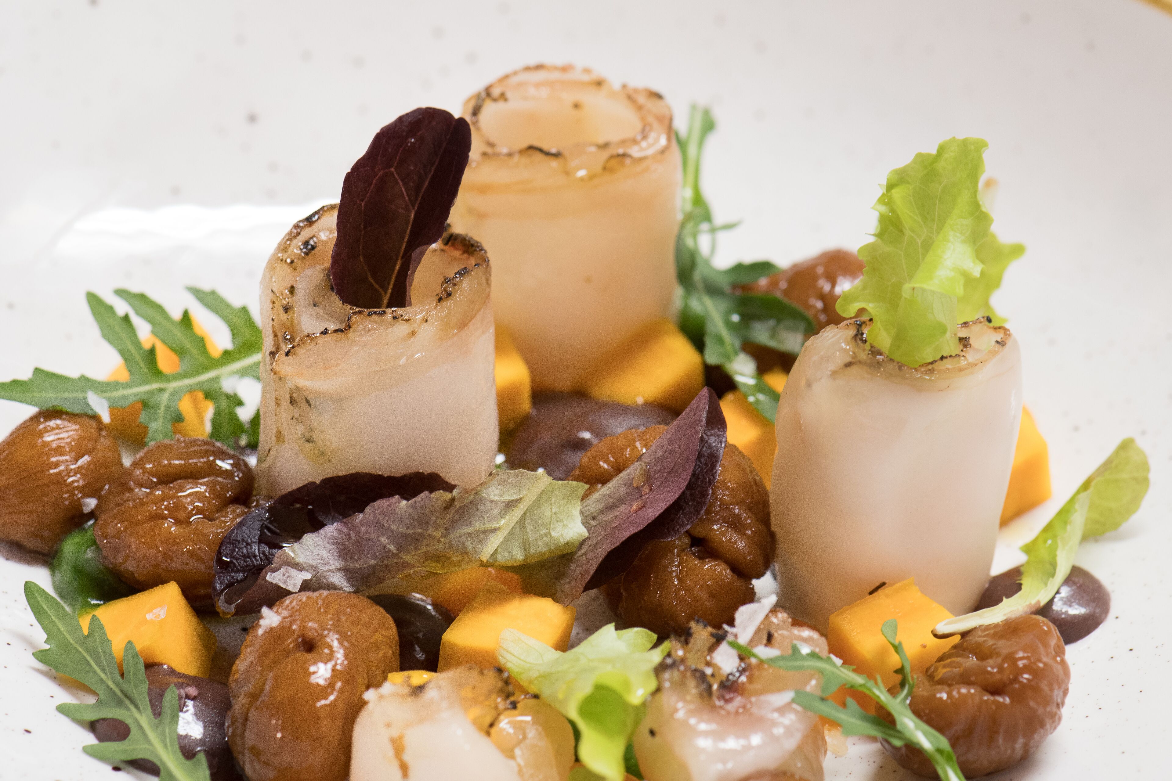 A dish with scallops, mushrooms, and greens on a plate.