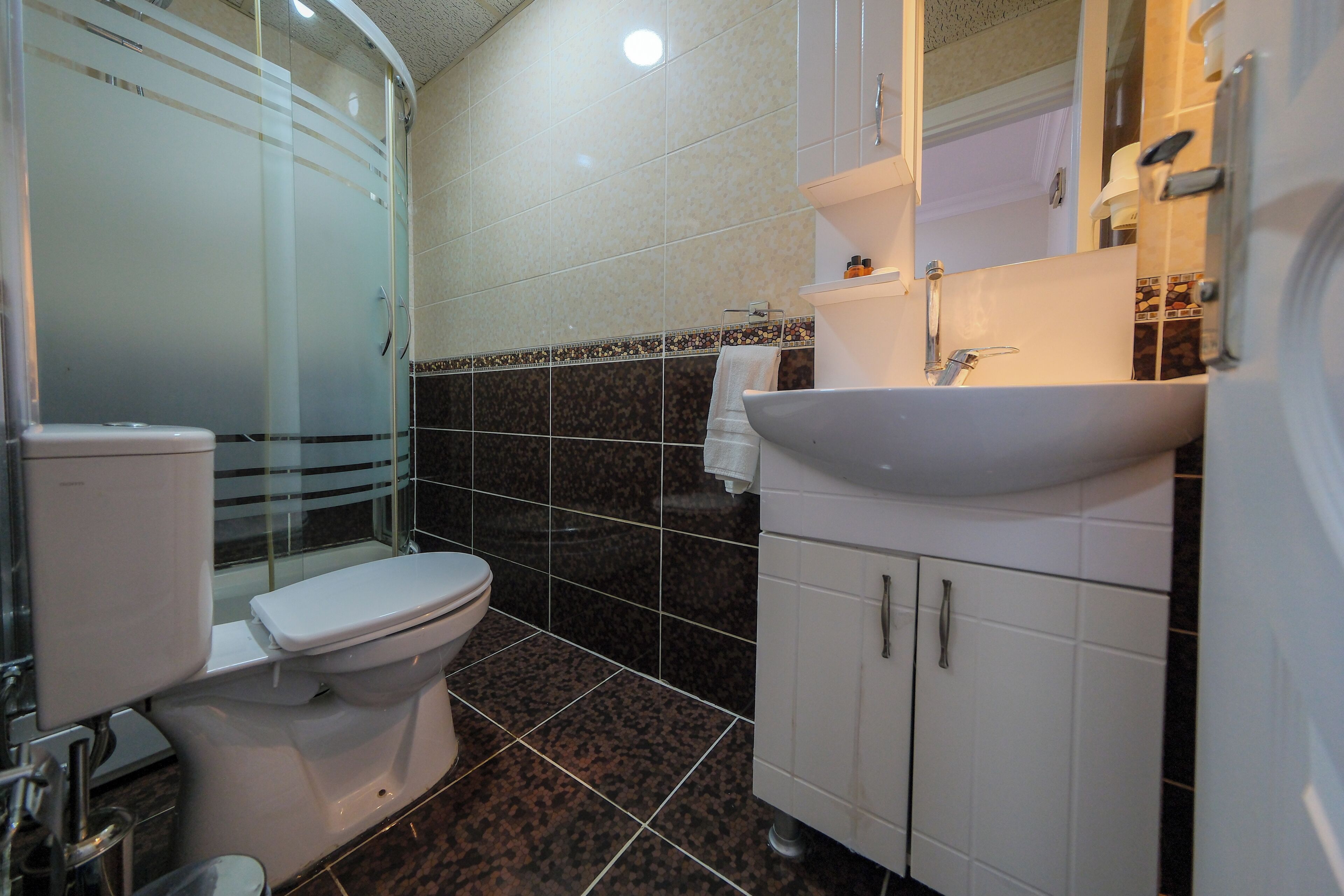 A bathroom with a toilet, a sink, and a shower area.