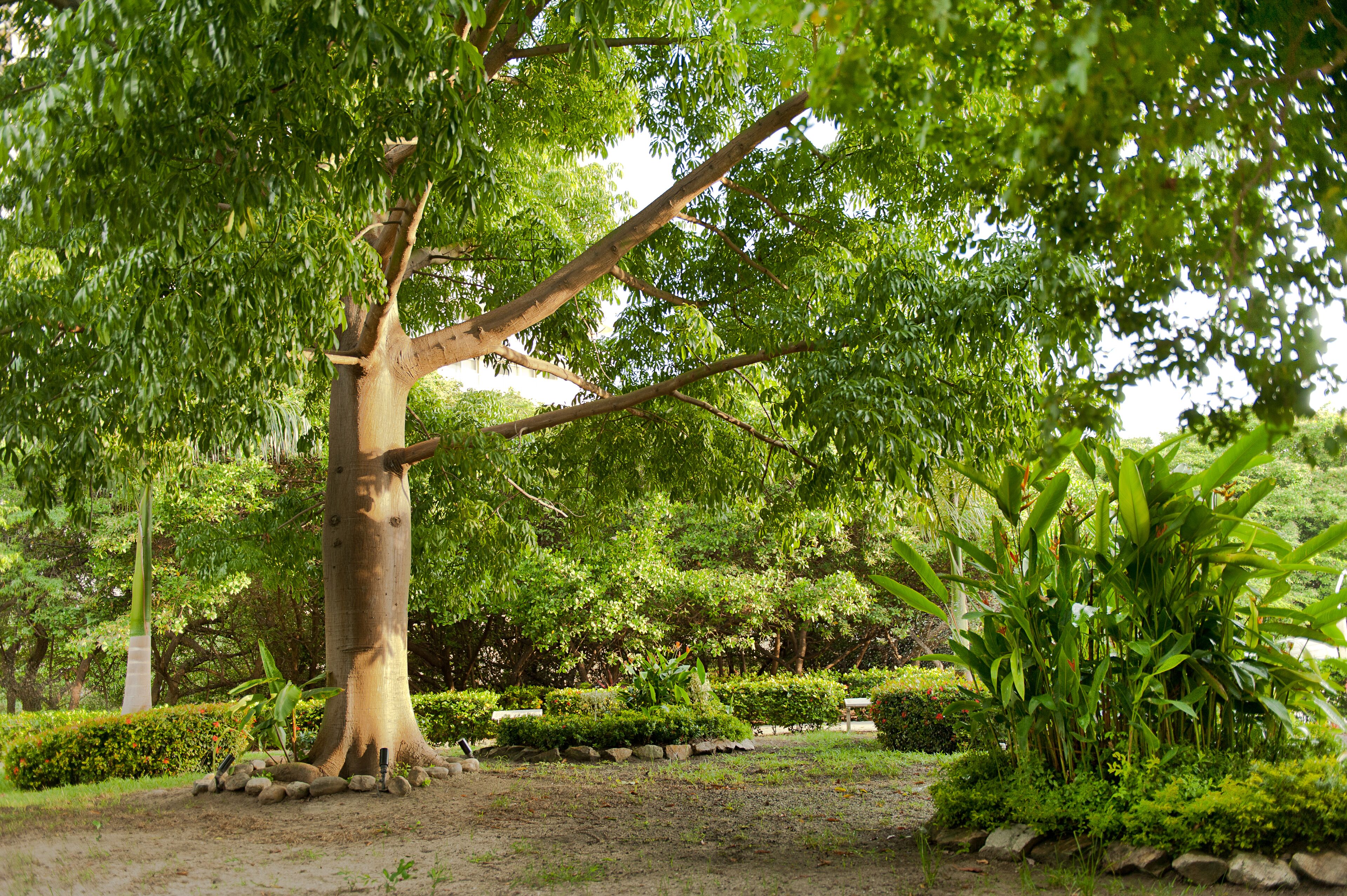 children’s play area – outdoor