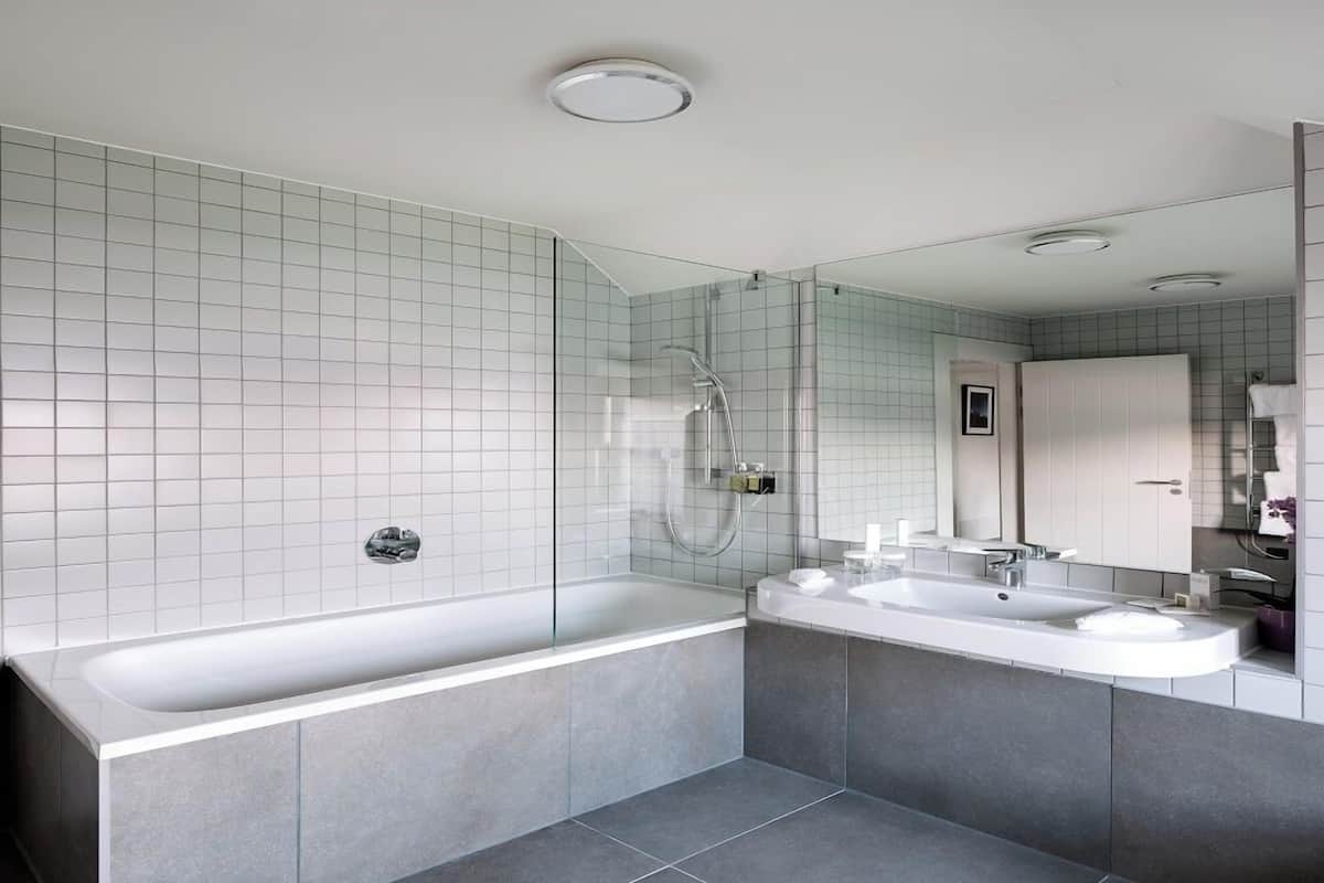combined shower/bathtub, free toiletries, hair dryer, bathrobes
