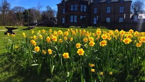 A large building with multiple windows and a lawn with yellow flowers. - The Douglas Hotel (Isle of Arran)