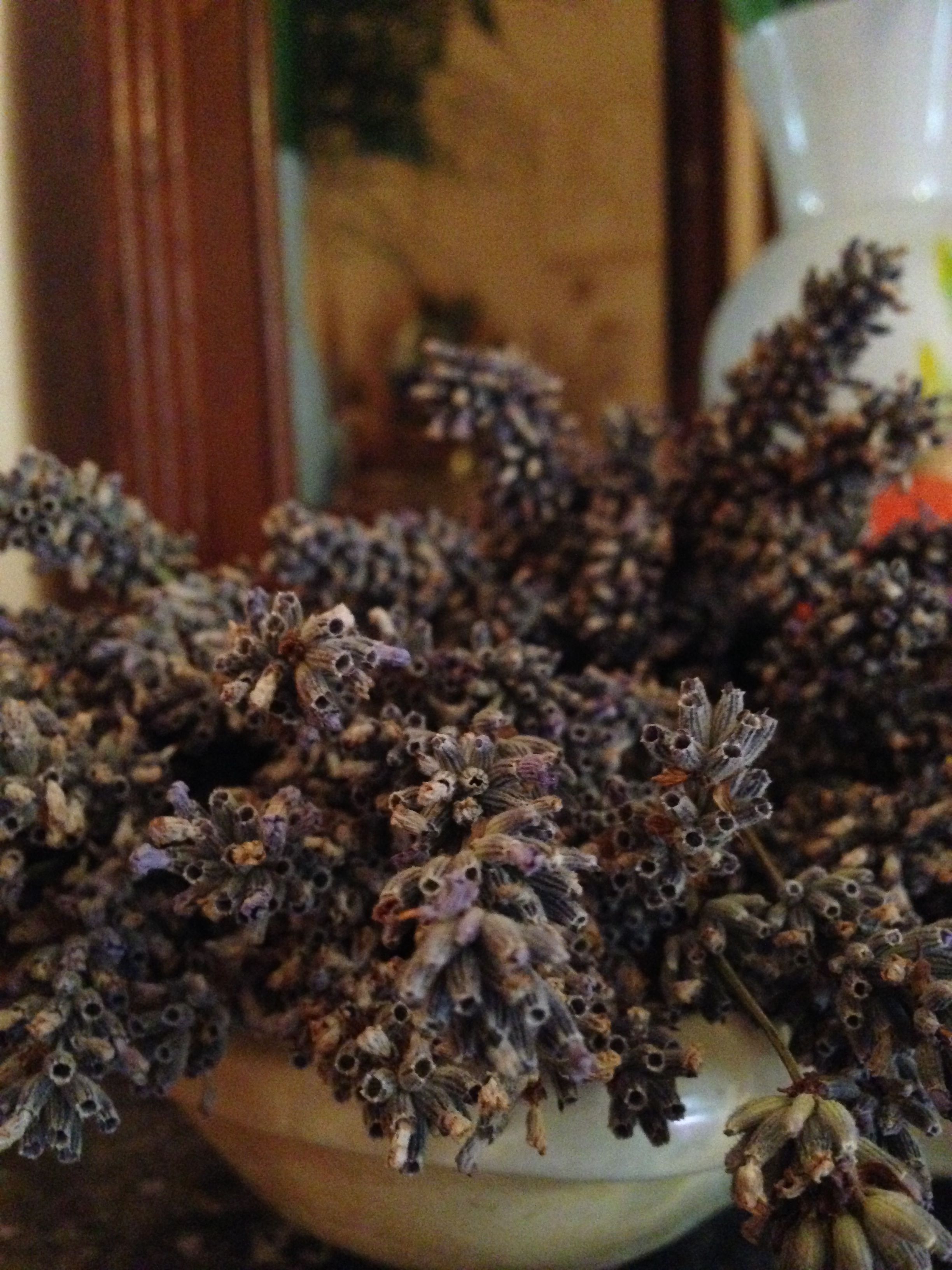 Un cuenco lleno de ramas de lavanda seca.