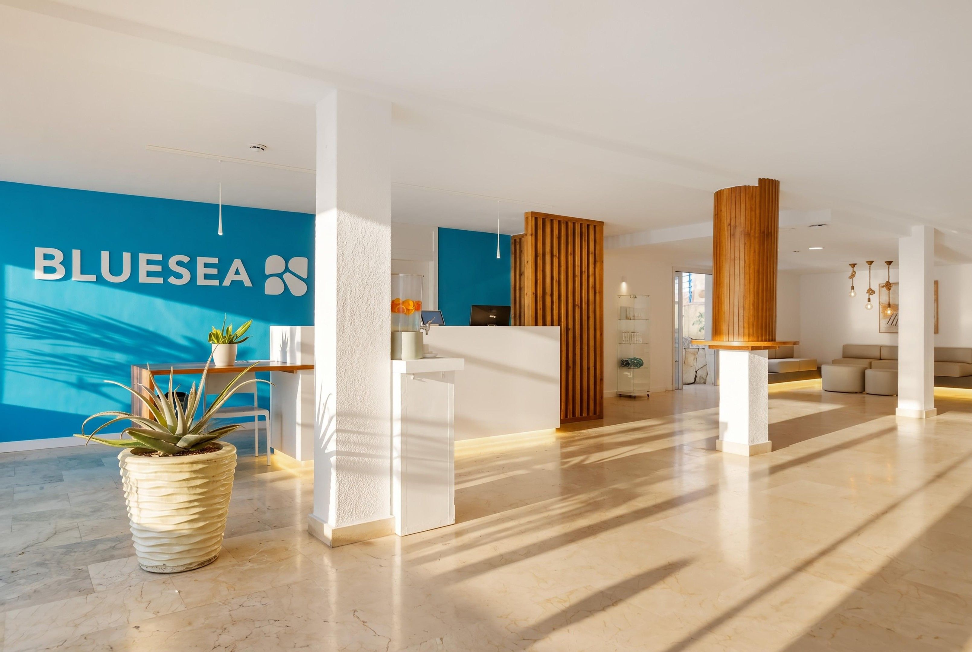 Un espace d’accueil moderne avec un mur bleu, un comptoir d’accueil, une plante en pot et une colonne en bois.