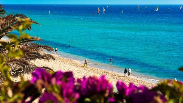Ein Strand mit klarem türkisblauem Wasser, Palmen und Menschen, die am Ufer entlanggehen.