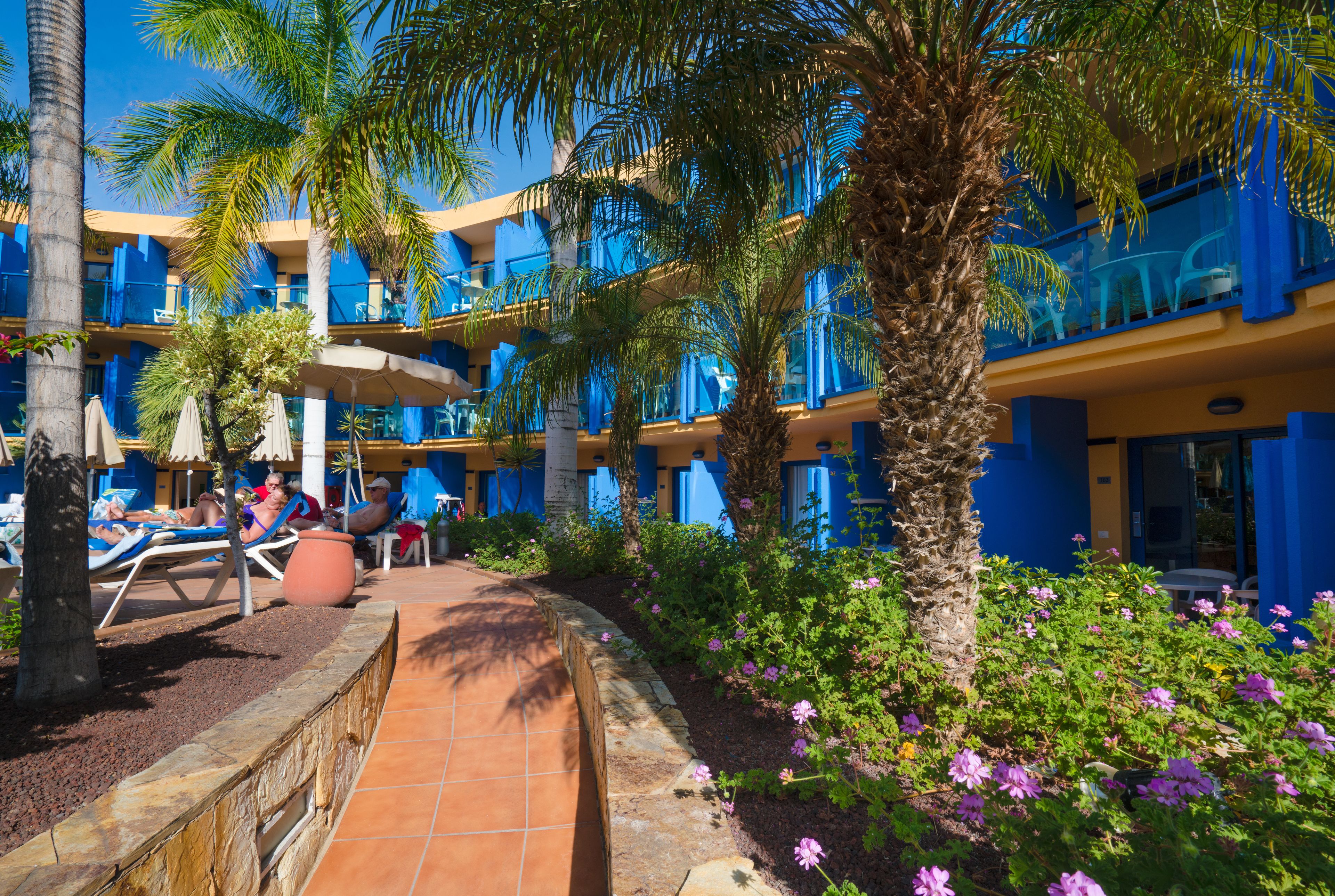 Photo - BLUESEA Jandia Luz