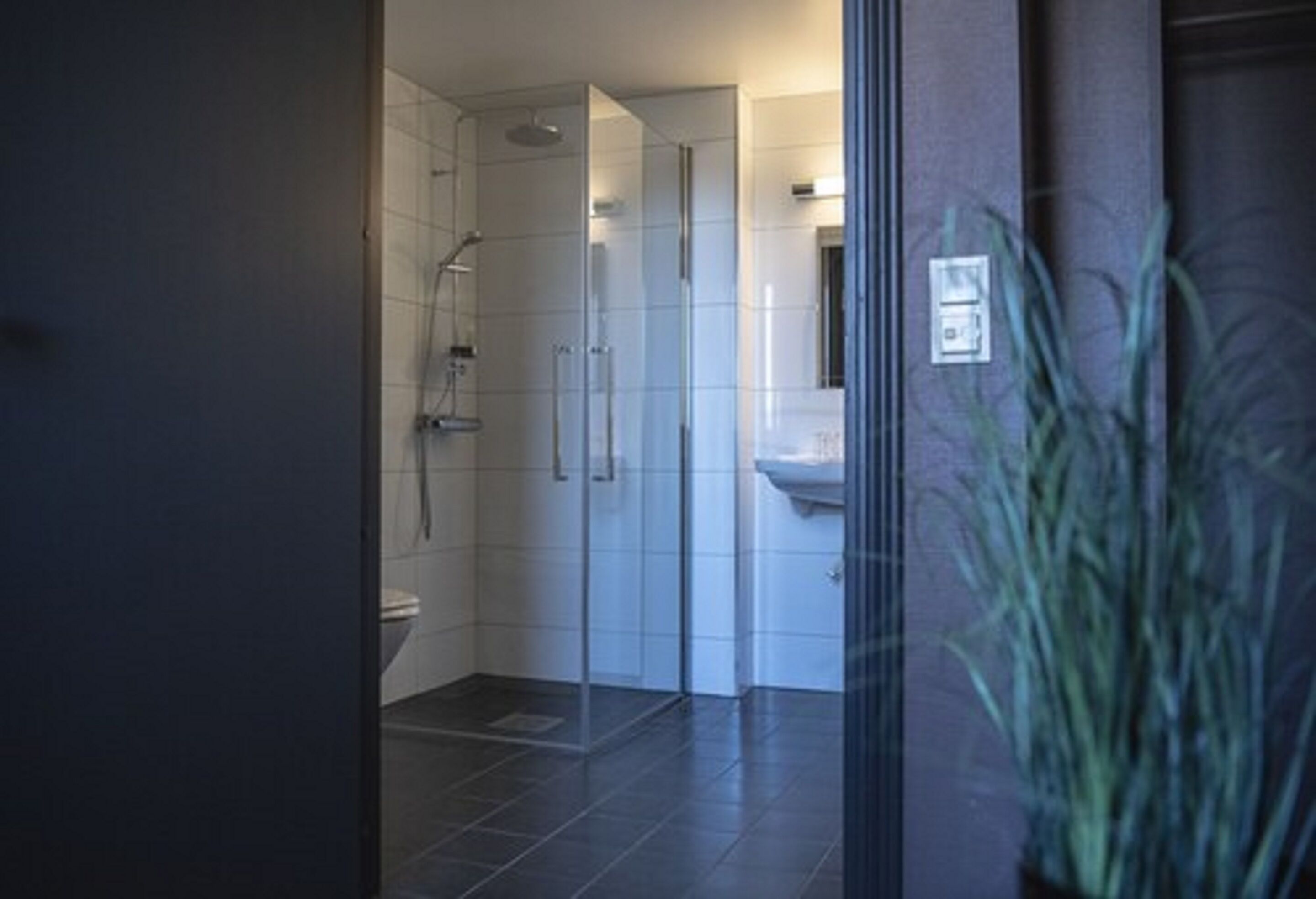 family quadruple room, 1 double bed with sofa bed | bathroom | free toiletries, towels