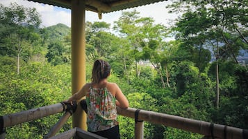 Uitzicht vanuit accommodatie