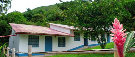Jardín