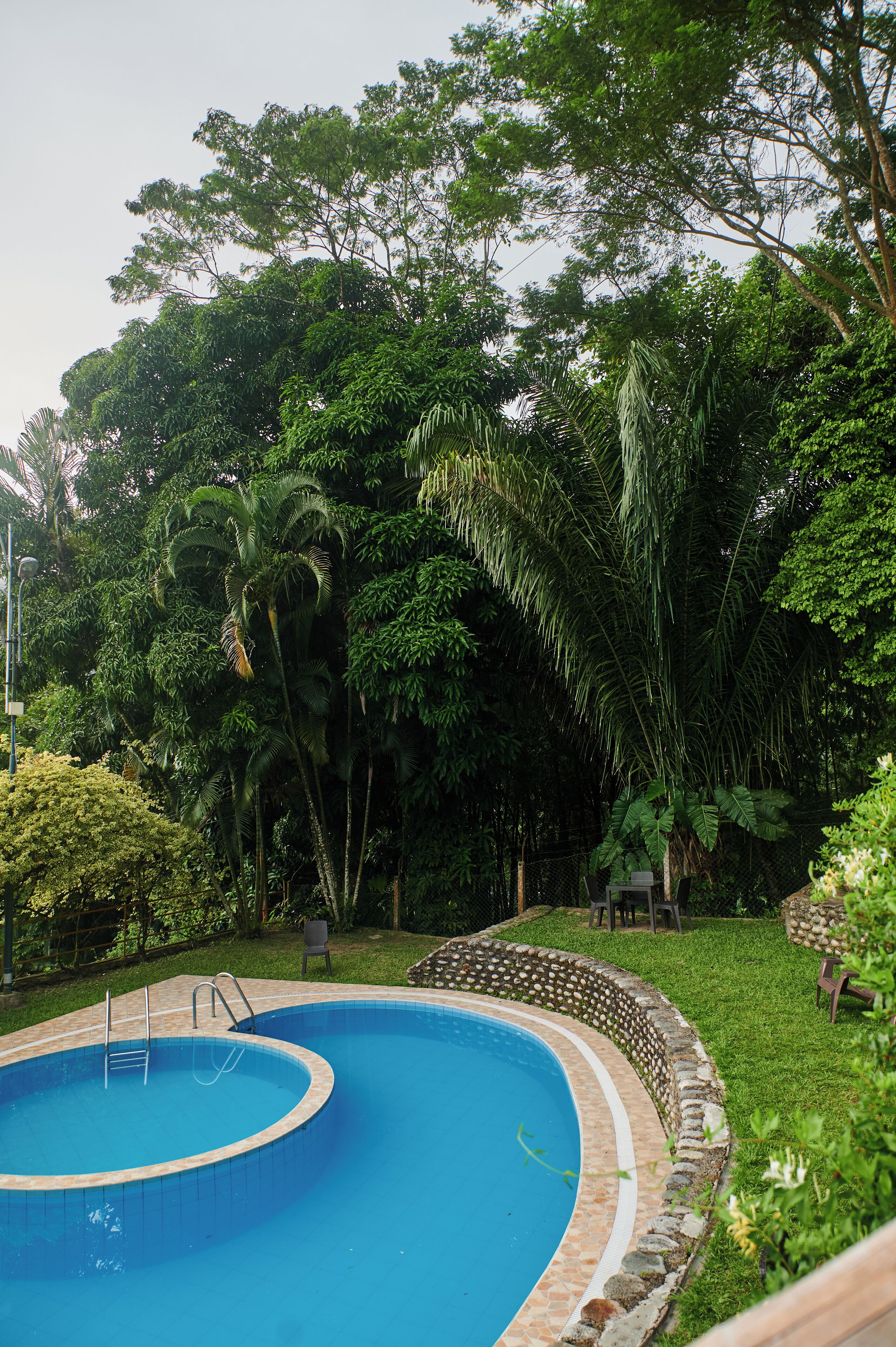 A swimming pool surrounded by lush greenery and a stone border.