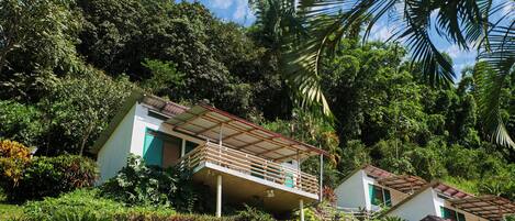 A two-story building with a balcony, surrounded by lush greenery and trees.