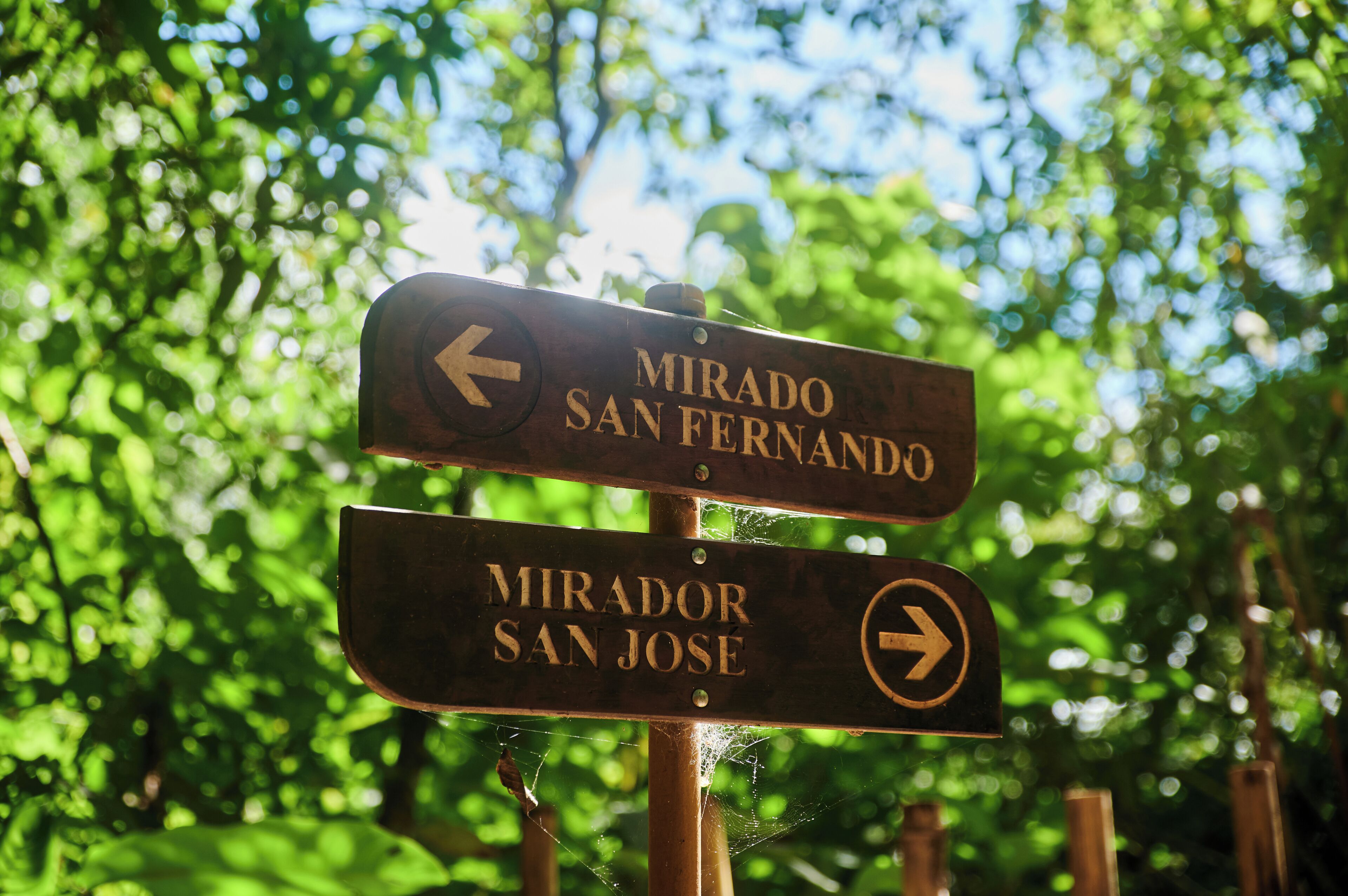 Un panneau de signalisation indiquant la direction, avec des flèches pointant vers la gauche et vers la droite, et portant les inscriptions « Mirador San Fernando » et « Mirador San Jose ».