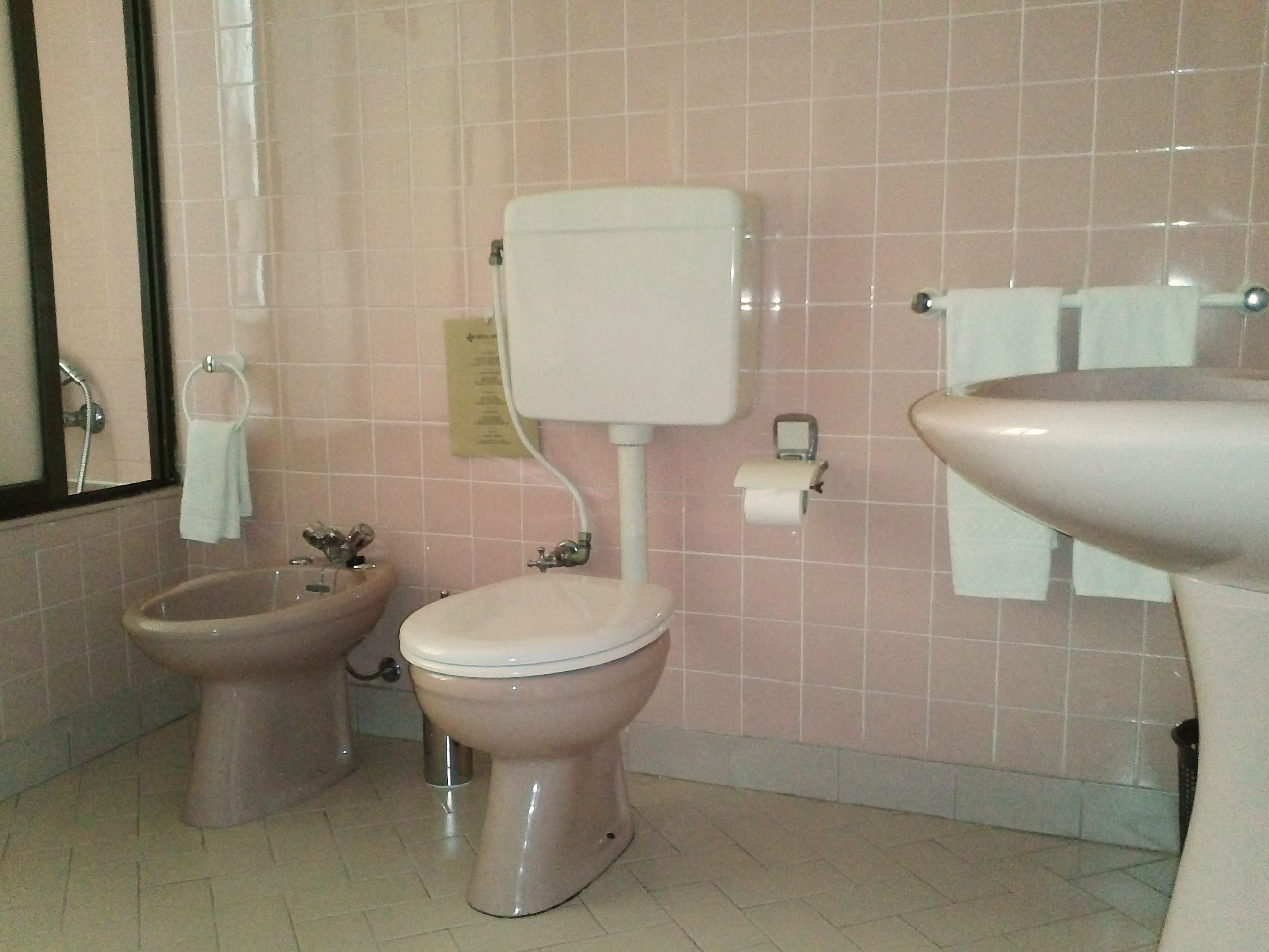 spring water bathtub, hair dryer, bidet, towels