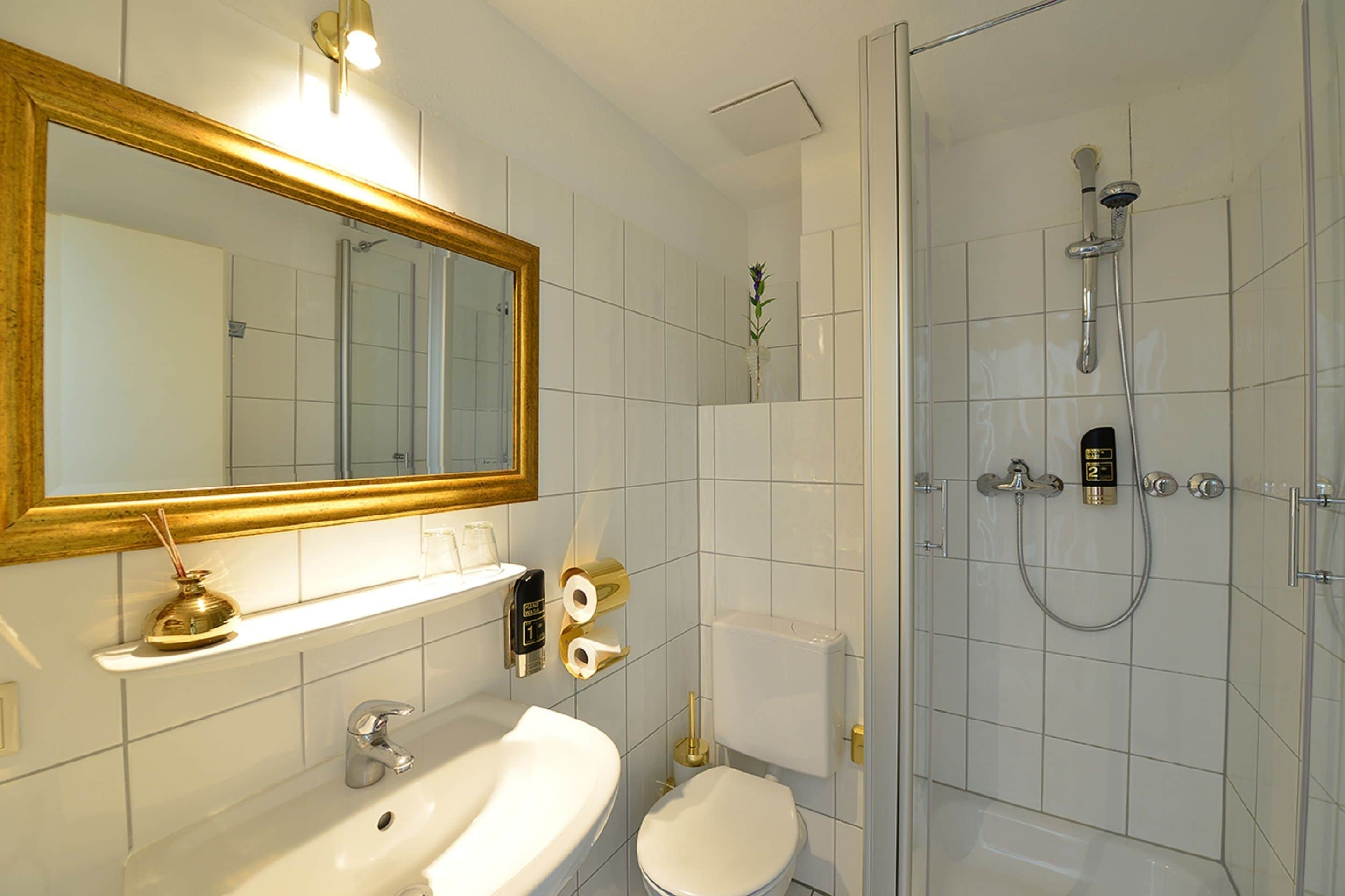 shower, free toiletries, hair dryer, towels