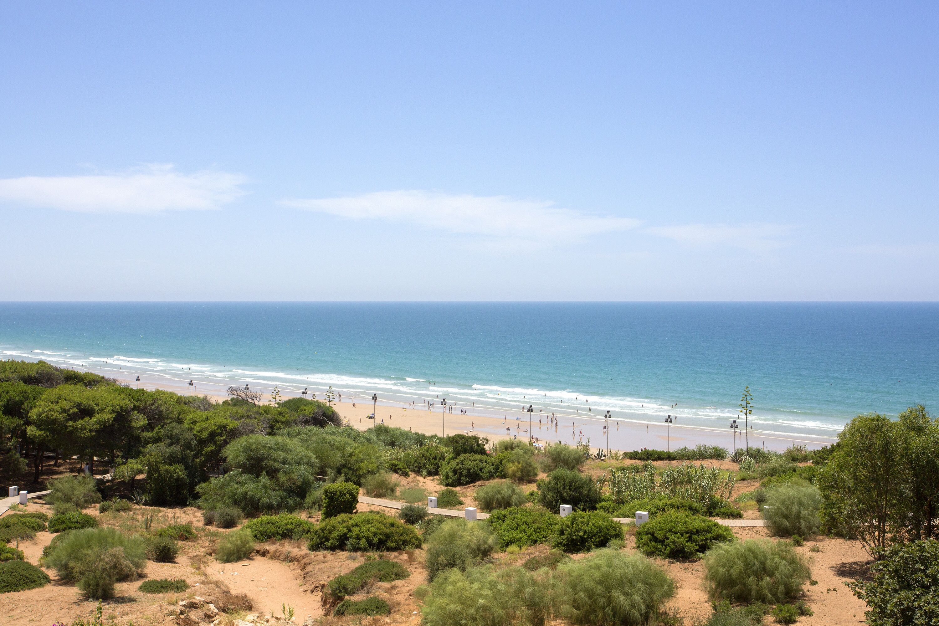 A coastal view with a beach, trees, and a clear sky.