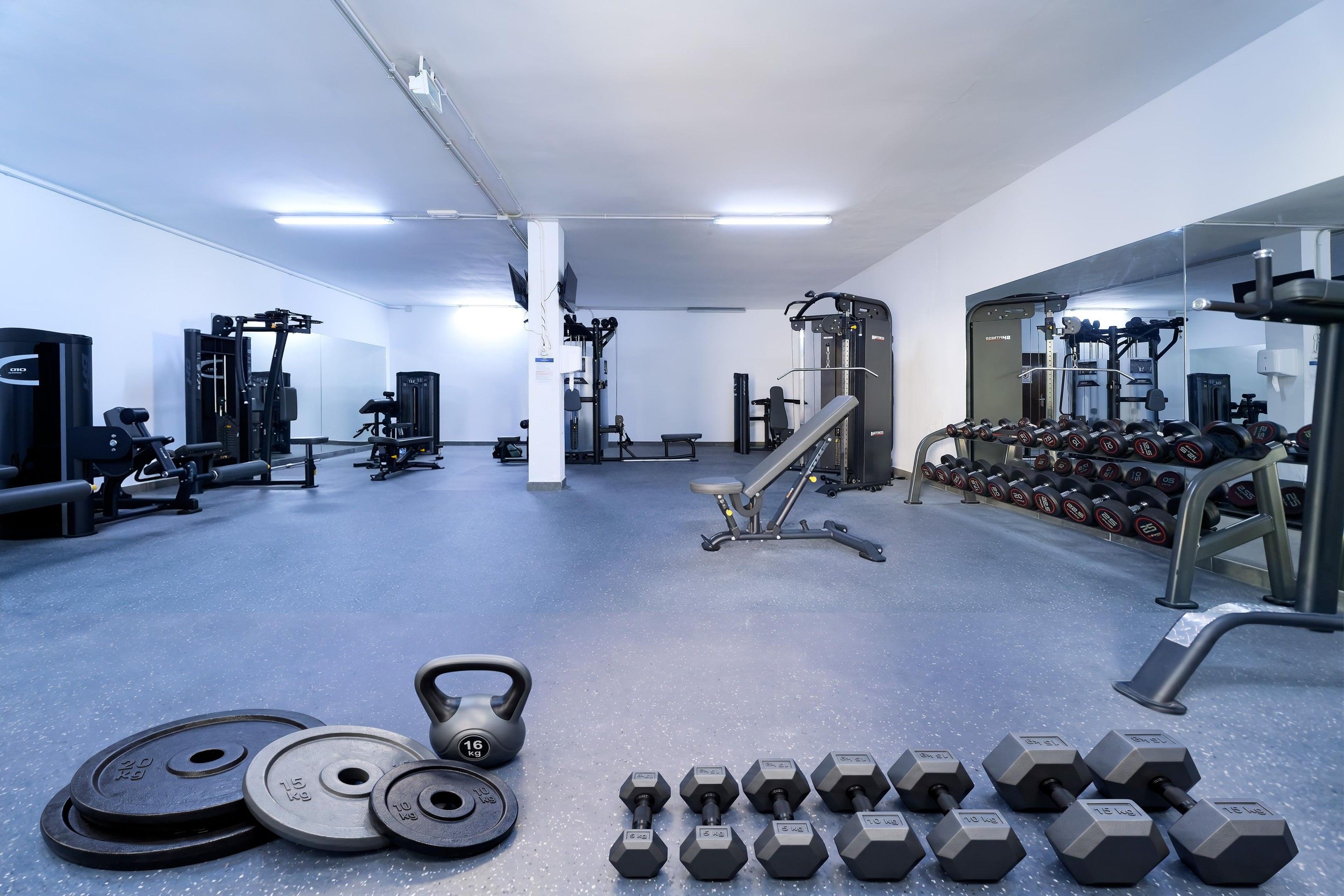 A gym with various exercise equipment, weightlifting stations, and dumbbells.