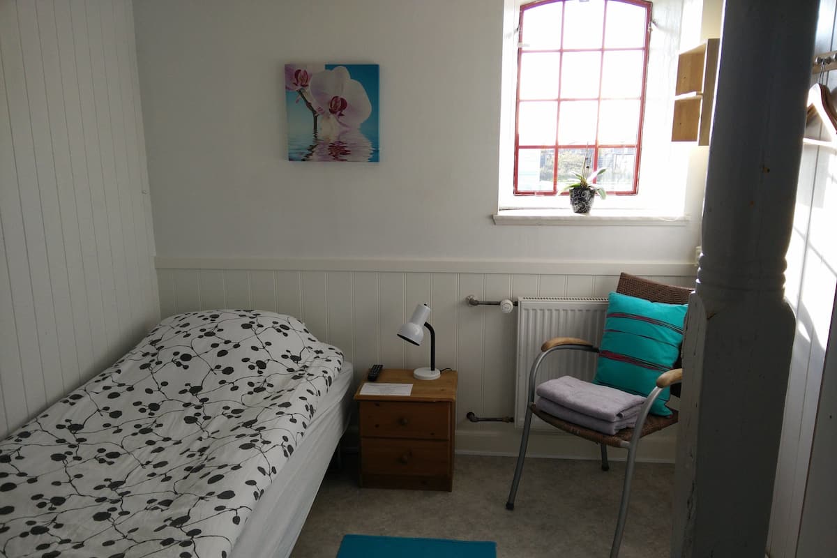 A bedroom with a bed, a chair, a desk, a radiator, and a window with a plant.