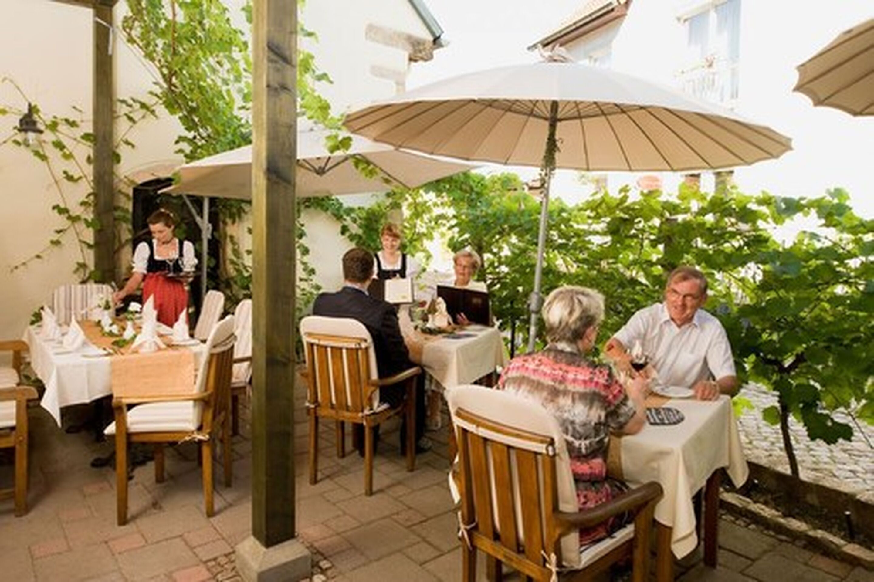 lunch and dinner served, regional cuisine