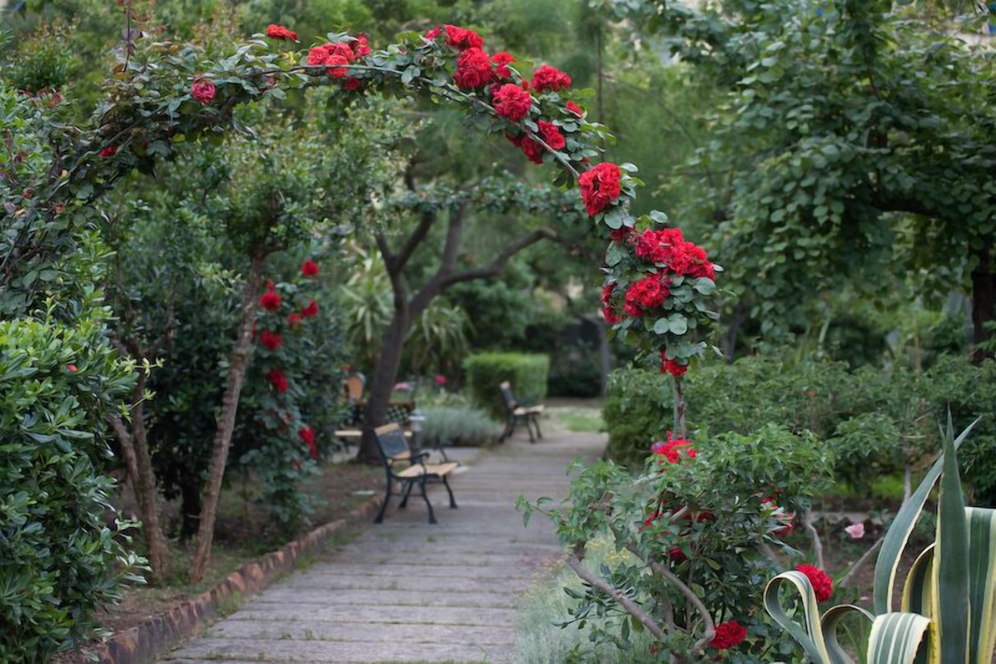 Enceinte de l’hébergement