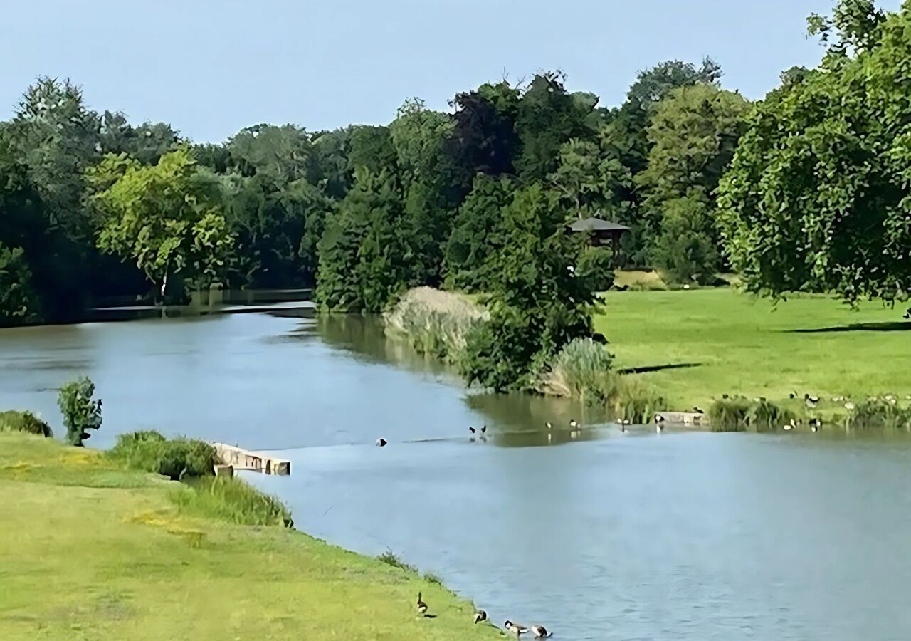A river with ducks swimming, surrounded by greenery and a small bridge.