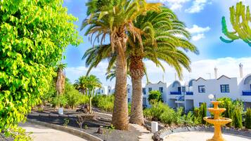 Jardin