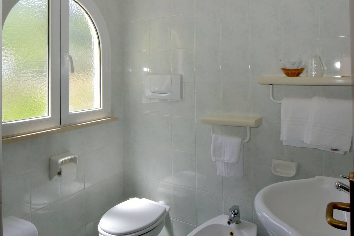 shower, free toiletries, hair dryer, bidet