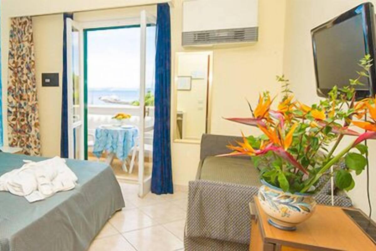 Habitación de hotel con cama, escritorio con planta, televisor y vista al mar a través de la ventana.