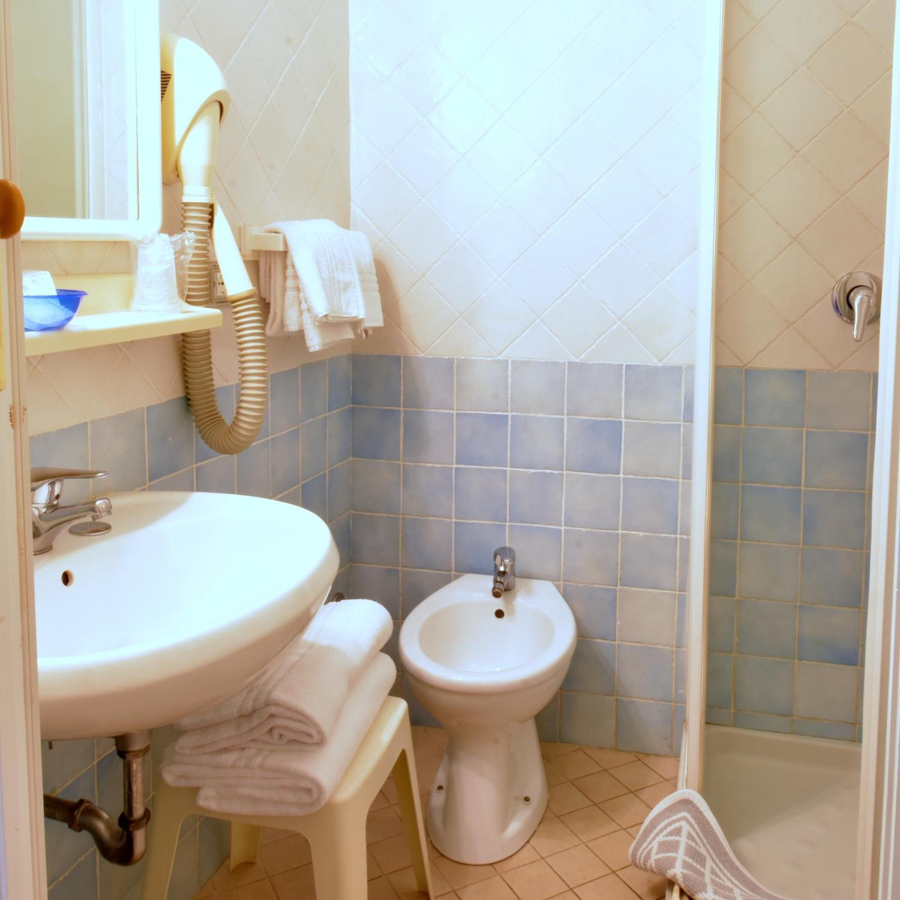 shower, free toiletries, hair dryer, bidet