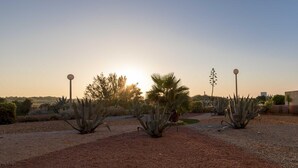 Ein angelegter Garten mit verschiedenen Pflanzen und blauem Himmel.