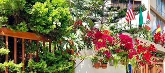 Casa Bella Miraflores