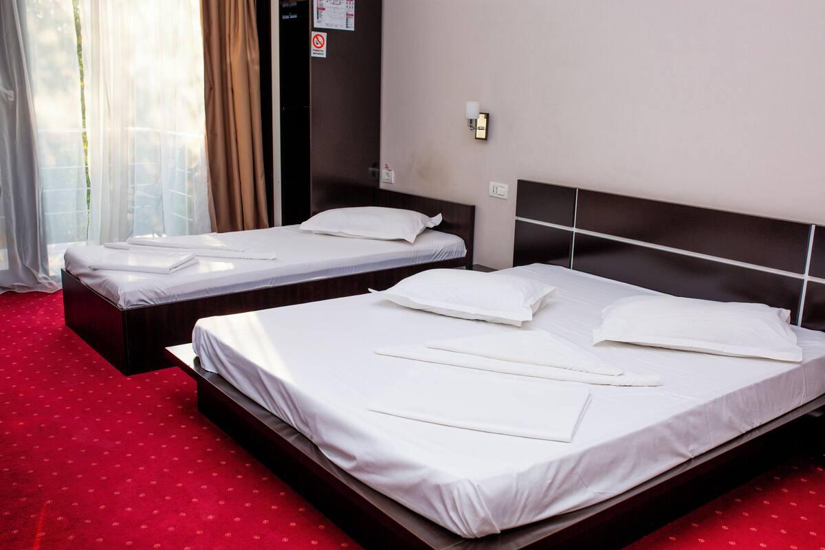 Two single beds with white linens, a red carpet, and a window with sheer curtains.