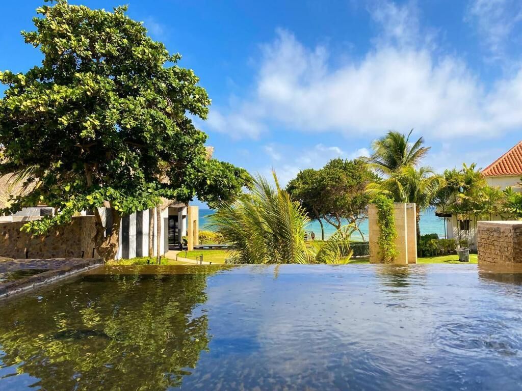 Piscina límpida com vista para o mar, rodeada por palmeiras e um muro de pedra.