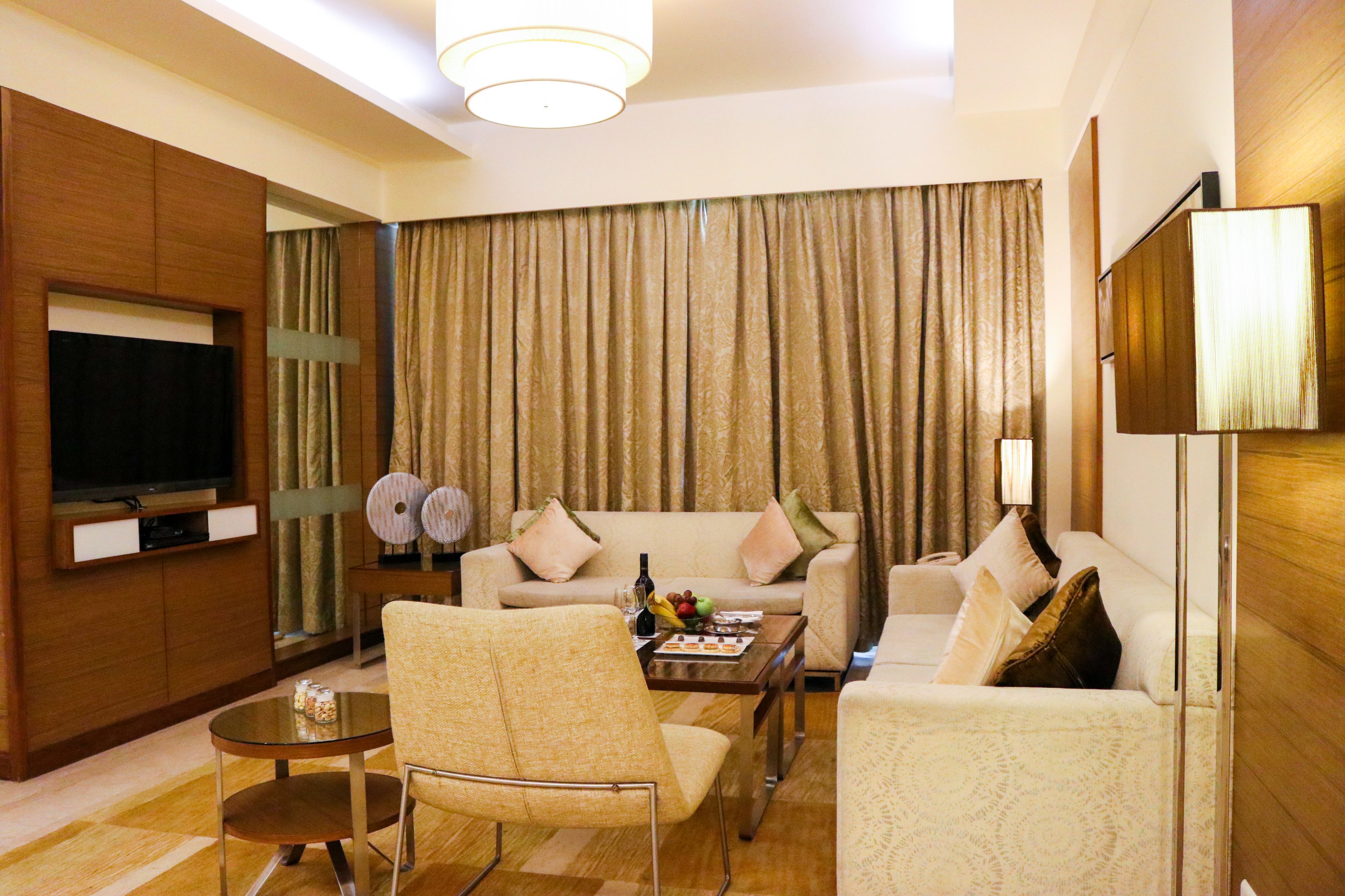 presidential suite | living area | 40-inch lcd tv with satellite channels, tv, fireplace