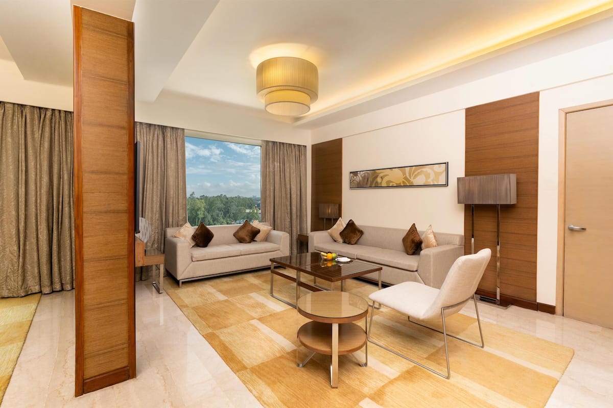 Suite presidencial | 1 habitación, ropa de cama de alta calidad y edredón