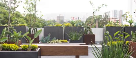 A rooftop garden with various potted plants, a wooden bench, and a cityscape view in the background.