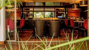 Un área de bar moderna con suelo de madera, sillas rojas y una barra con botellas.
