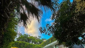 Una casa moderna rodeada de abundante vegetación y un cielo despejado.
