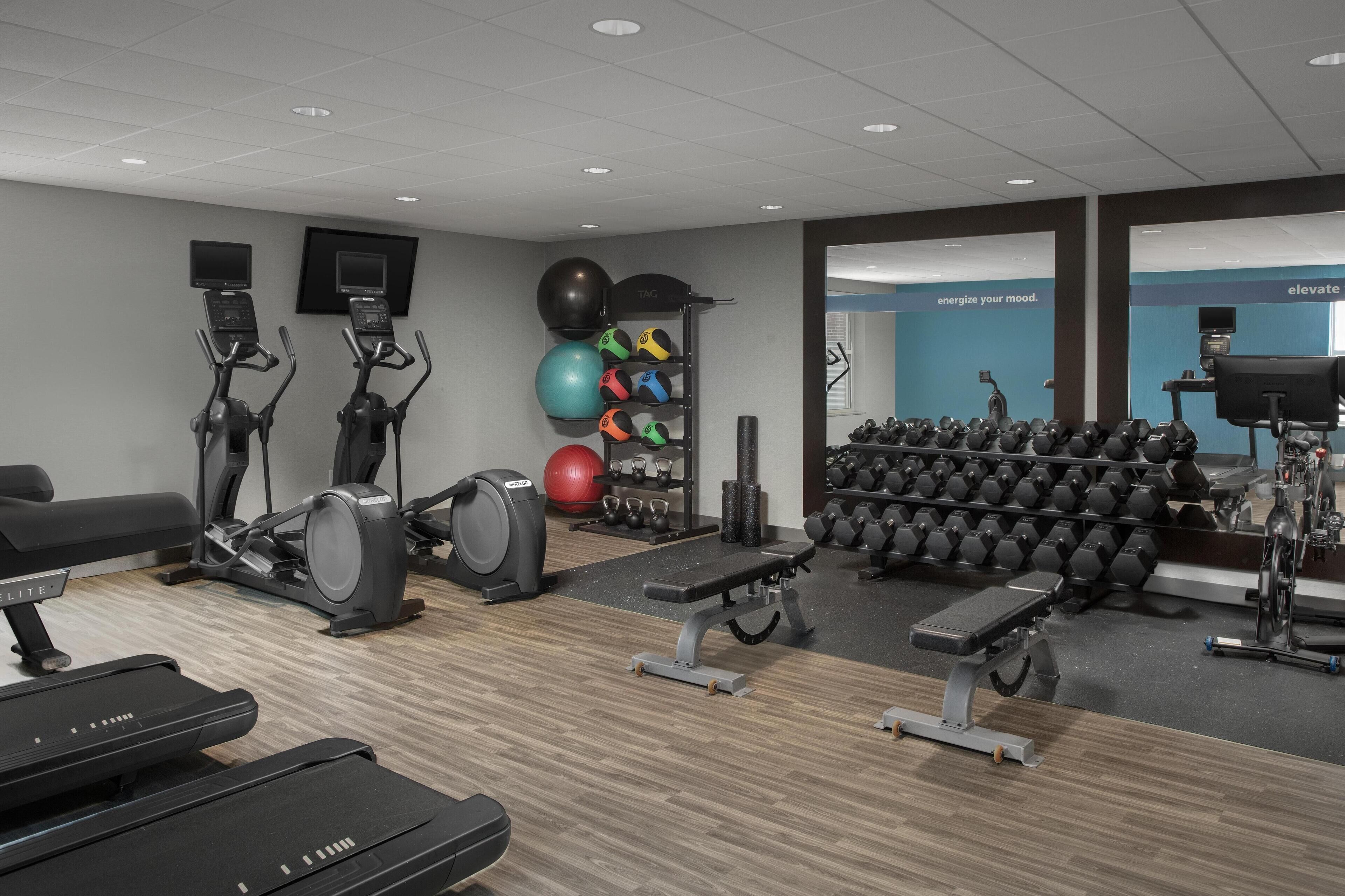 A gym with treadmills, elliptical machines, a bench, a ball, and dumbbells.
