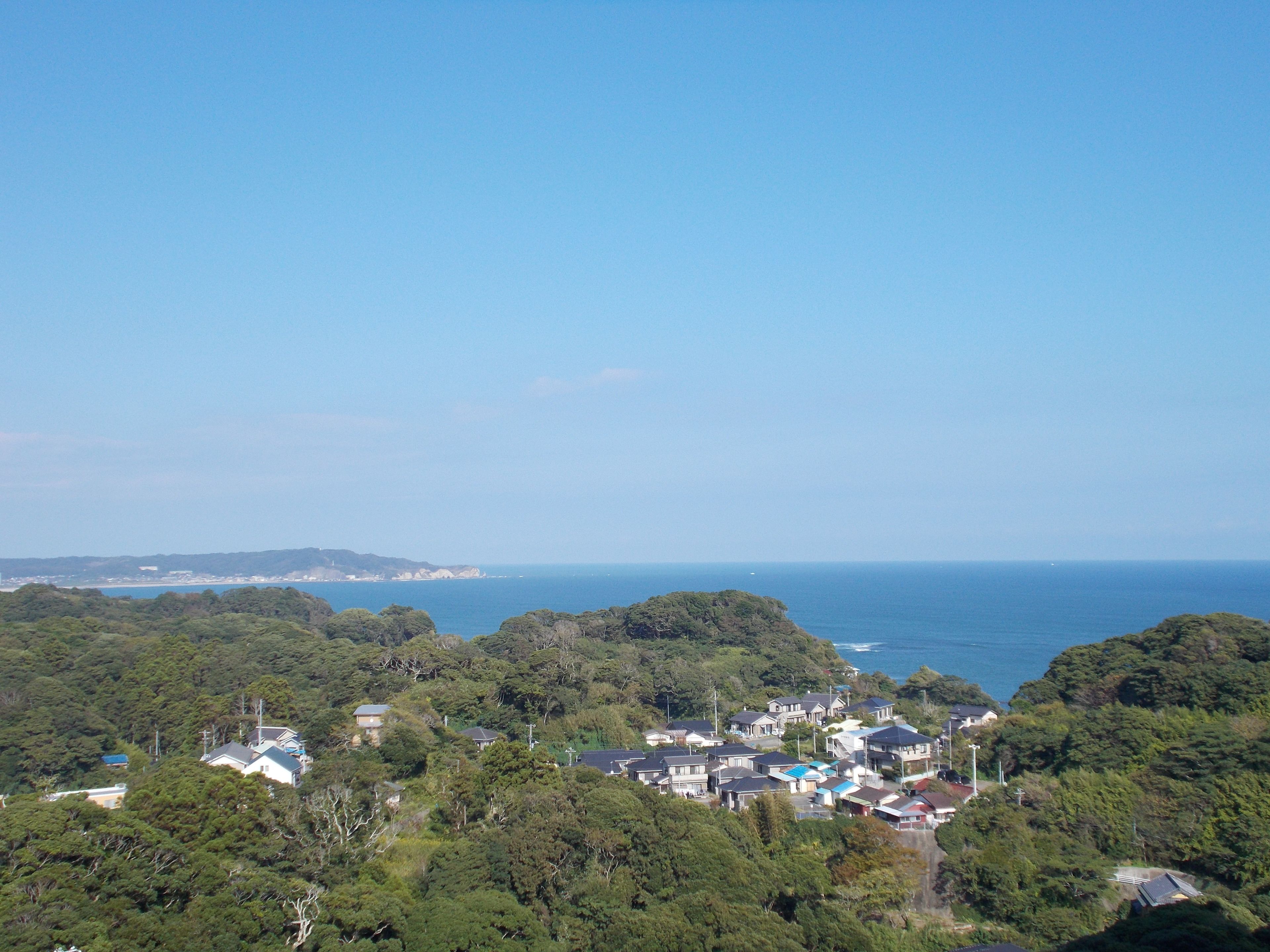 A coastal residential area with houses surrounded by dense greenery and a clear view of the ocean.