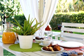 A picnic setup with a pitcher of orange juice, a potted aloe plant, and a plate of food on a white table. - Isabella Country House (Corfu)
