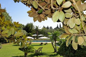 Jardim