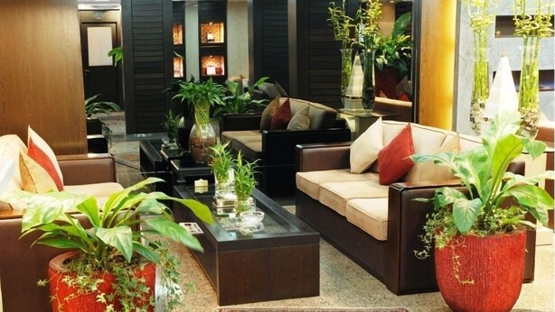 Lobby sitting area - Al Bustan (Doha)