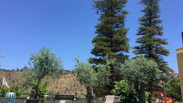 Hồ bơi ngoài trời phục vụ theo mùa